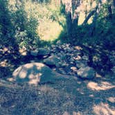 Review photo of Reyes Creek Campground by Morgan E., October 8, 2019