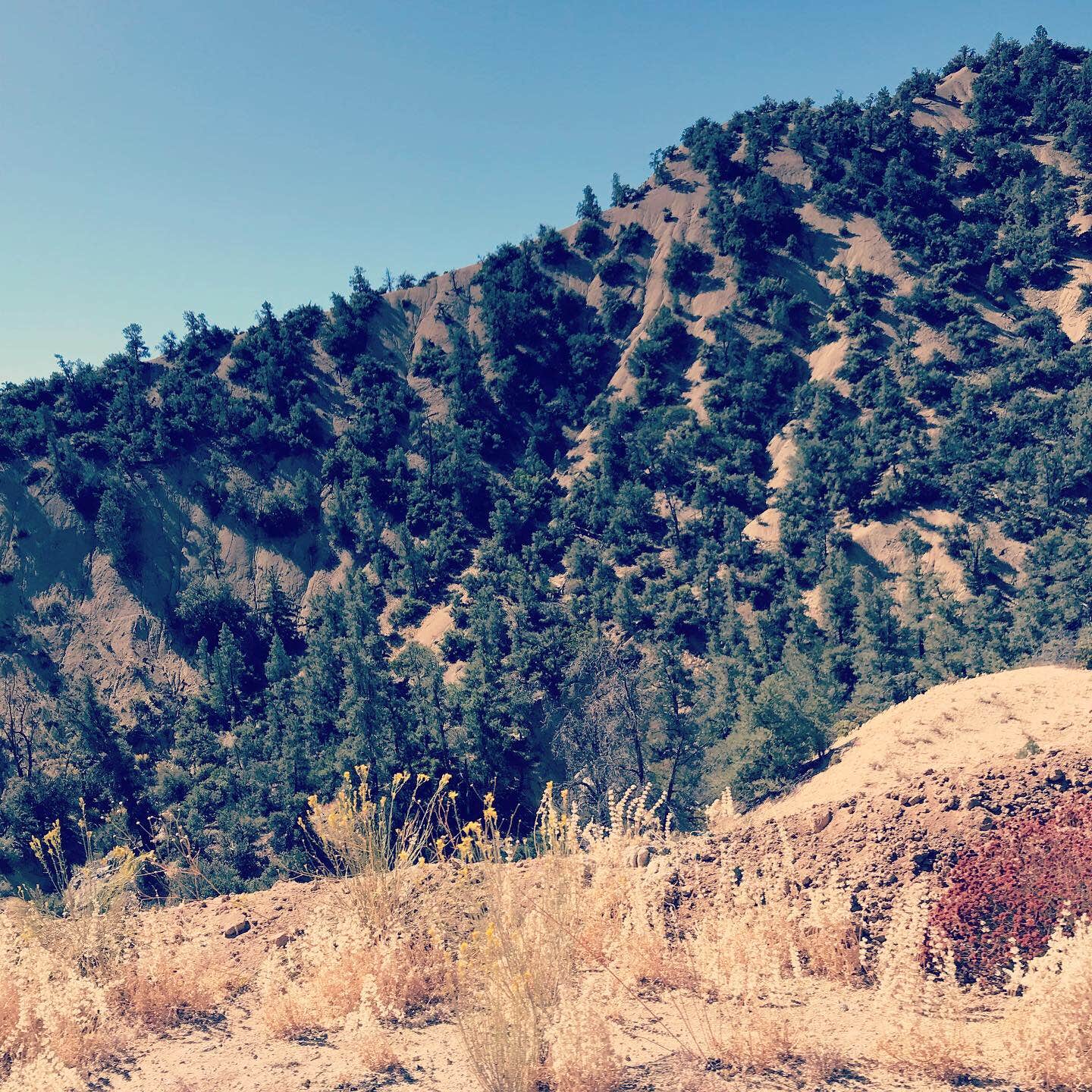 Reyes Creek Campground The Dyrt