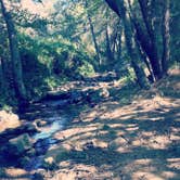 Review photo of Reyes Creek Campground by Morgan E., October 8, 2019