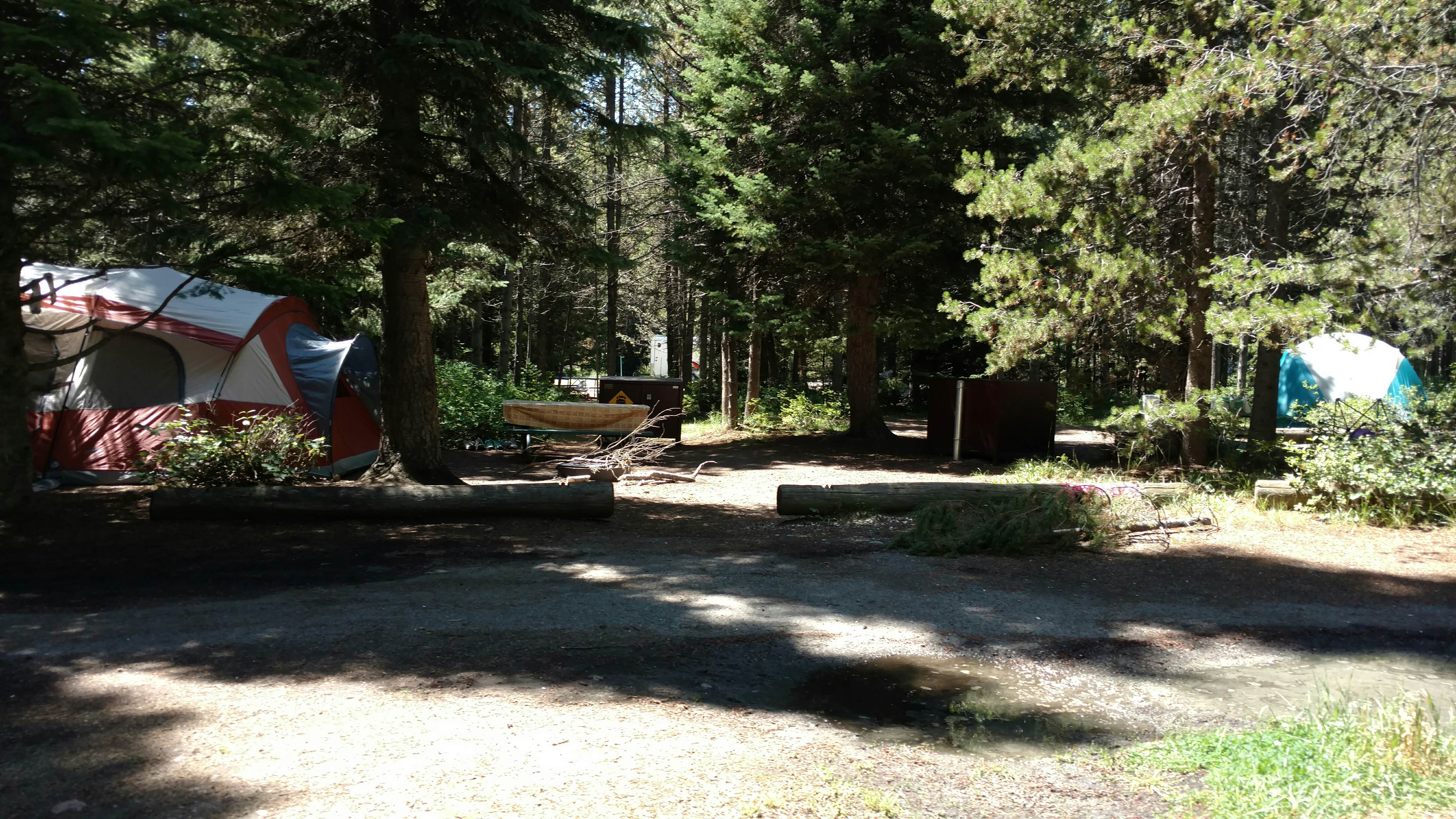 Natalie B.'s photo of tent camping at Colter Bay Tent Village at Colter Bay Village — Grand Teton National Park near Wilson, WY