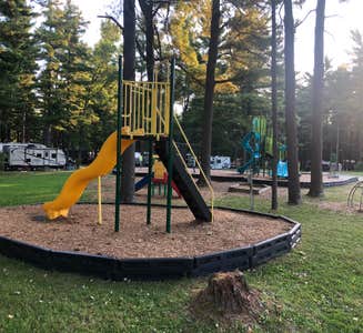 Camper-submitted photo from Ausable Point Campground