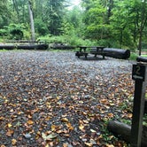 Review photo of Robert H. Treman State Park Campground by Lee D., October 8, 2019