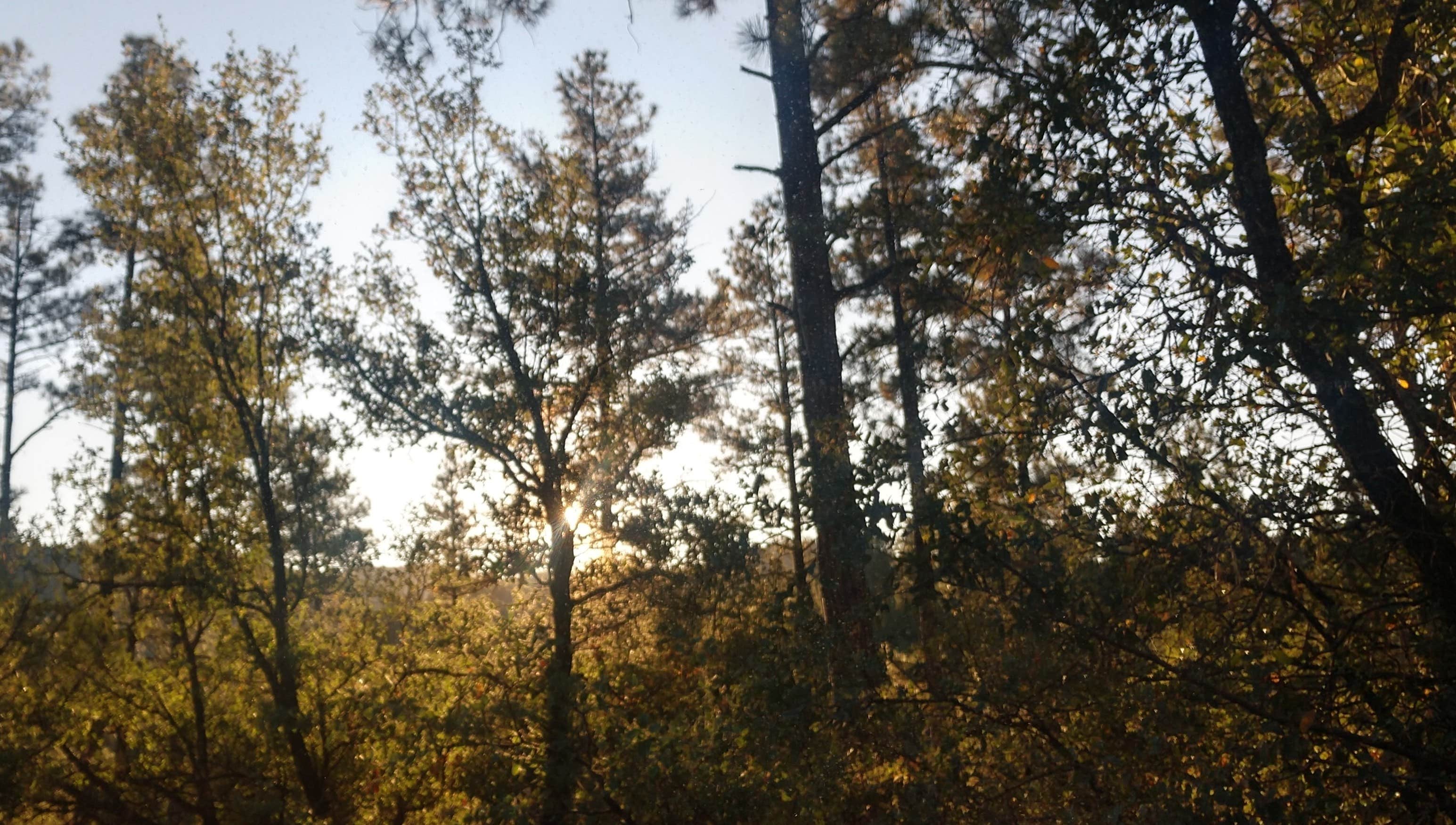 Sunrise near site #14