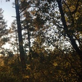 Review photo of Hilltop Campground by Melissa H., October 8, 2019