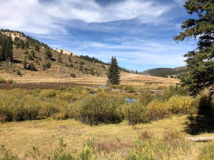 Camper submitted image from Podunk Guard Station - 5