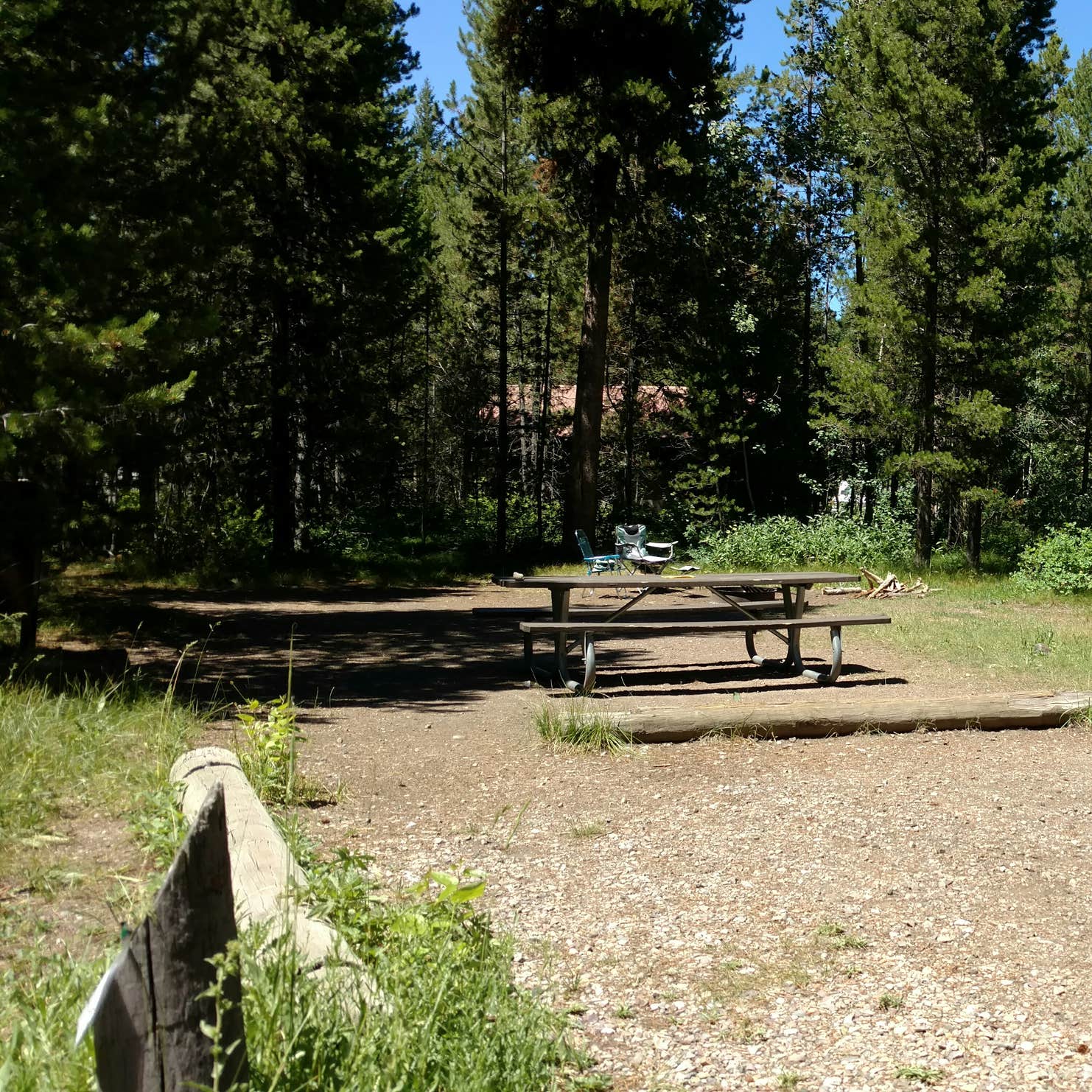 Lizard Creek Campground Camping The Dyrt