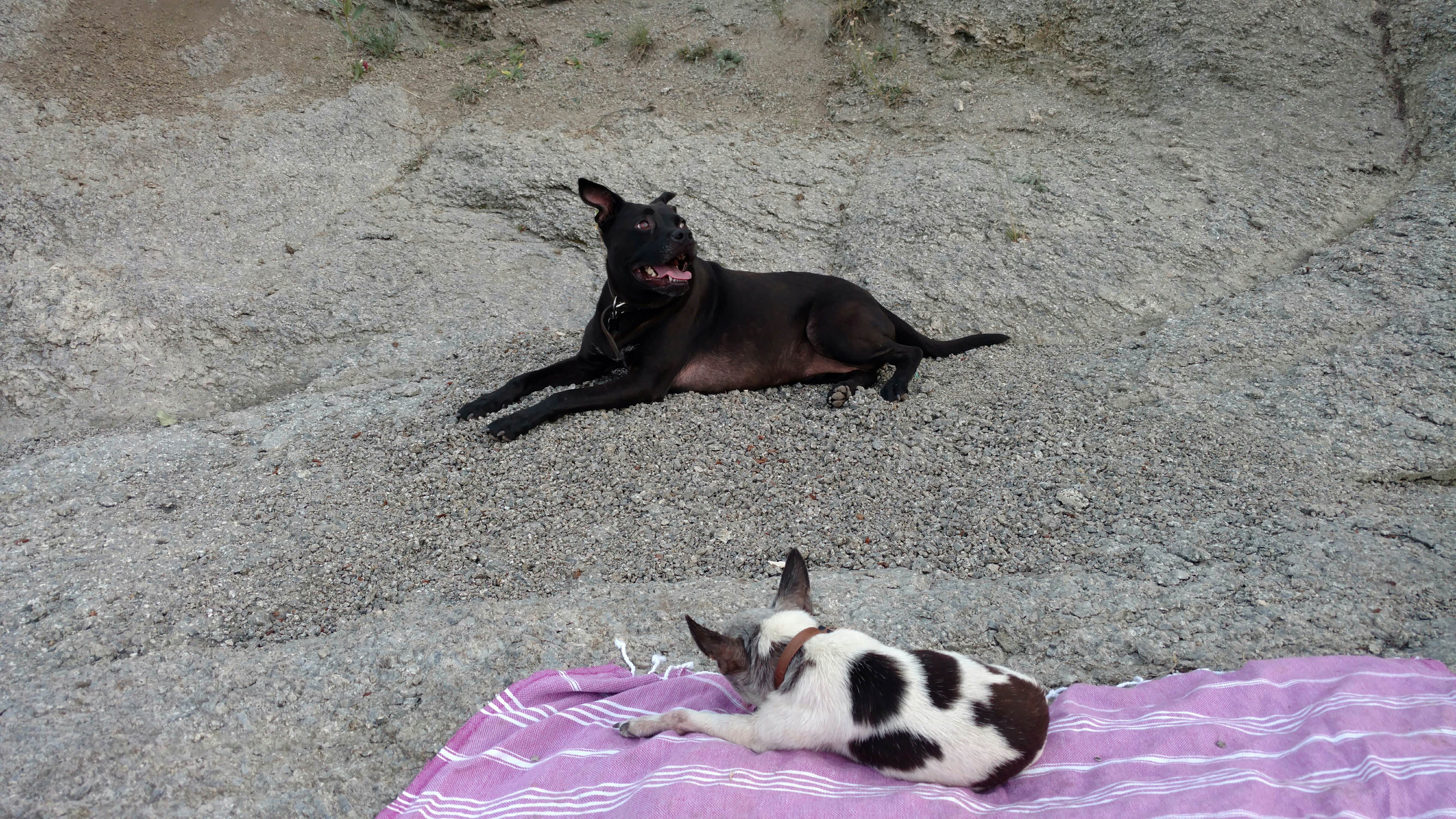 Camper submitted image from Fish Hawk Campground - DAY USE ONLY - CAMPGROUND PERMANENTLY CLOSED - 5