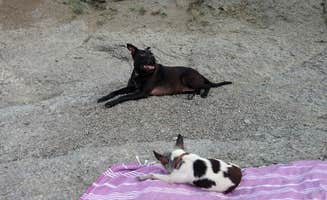 Natalie B.'s photo of camping with pets at Fish Hawk Campground - DAY USE ONLY - CAMPGROUND PERMANENTLY CLOSED near Boulder, MT