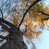 Review photo of Lake Erie State Park Campground by Meike  W., June 29, 2016