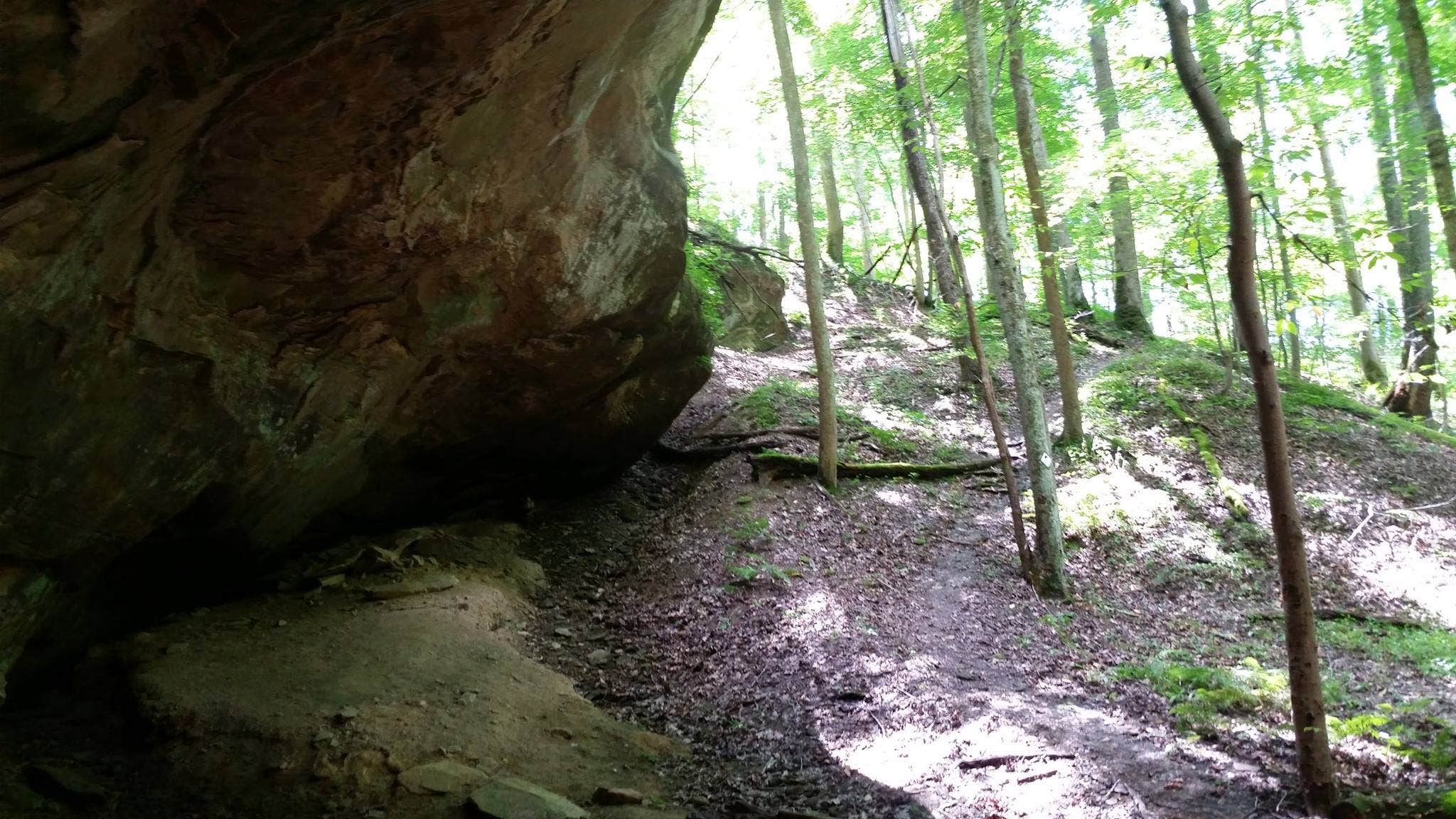Camper submitted image from Lake Vesuvius Recreation Area - 2