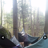Review photo of Quaker Area — Allegany State Park State Park by Sara V., June 29, 2016