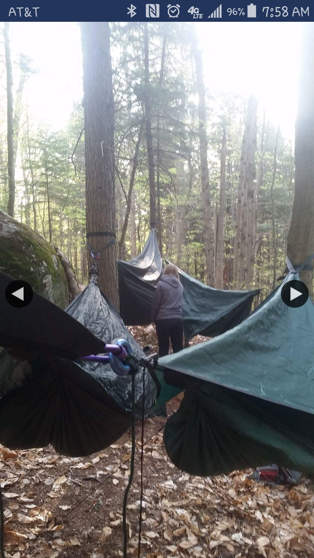 Camper submitted image from Quaker Area — Allegany State Park State Park - 4