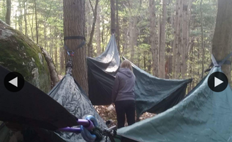 Sara V.'s photo at Quaker Area — Allegany State Park State Park near Lewis Run, PA