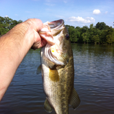 Review photo of Yogi on the Lake - Jellystone Pelahatchie by J B., August 15, 2017