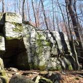 Review photo of Quaker Area — Allegany State Park State Park by Sara V., June 29, 2016