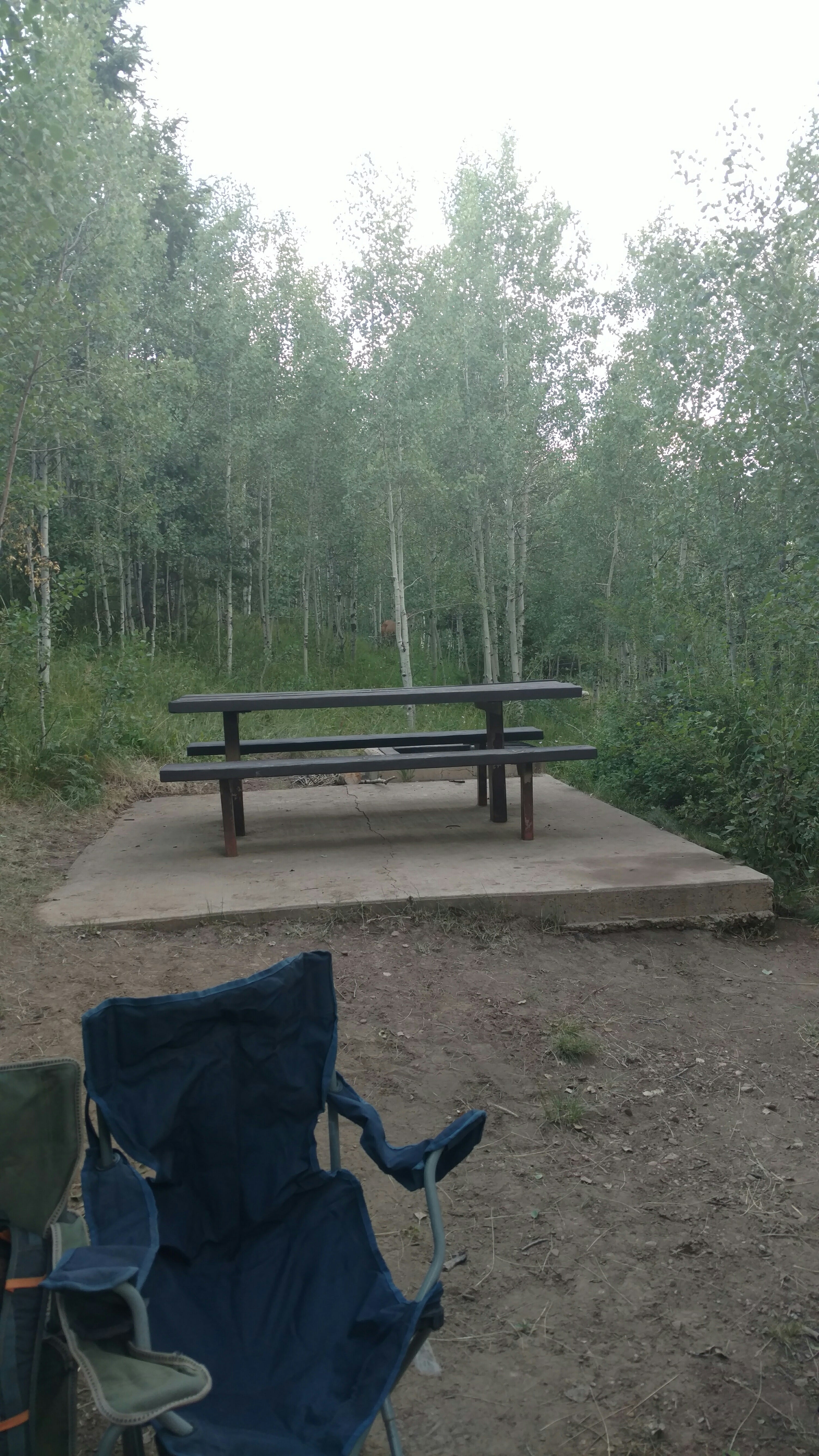 Camper submitted image from Aspen Grove (uinta-wasatch-cache National Forest, Ut) - 3