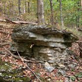 Review photo of O'Bannon Woods State Park Campground by Stacey S., October 8, 2019