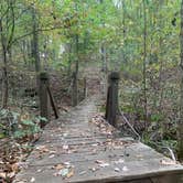 Review photo of O'Bannon Woods State Park Campground by Stacey S., October 8, 2019