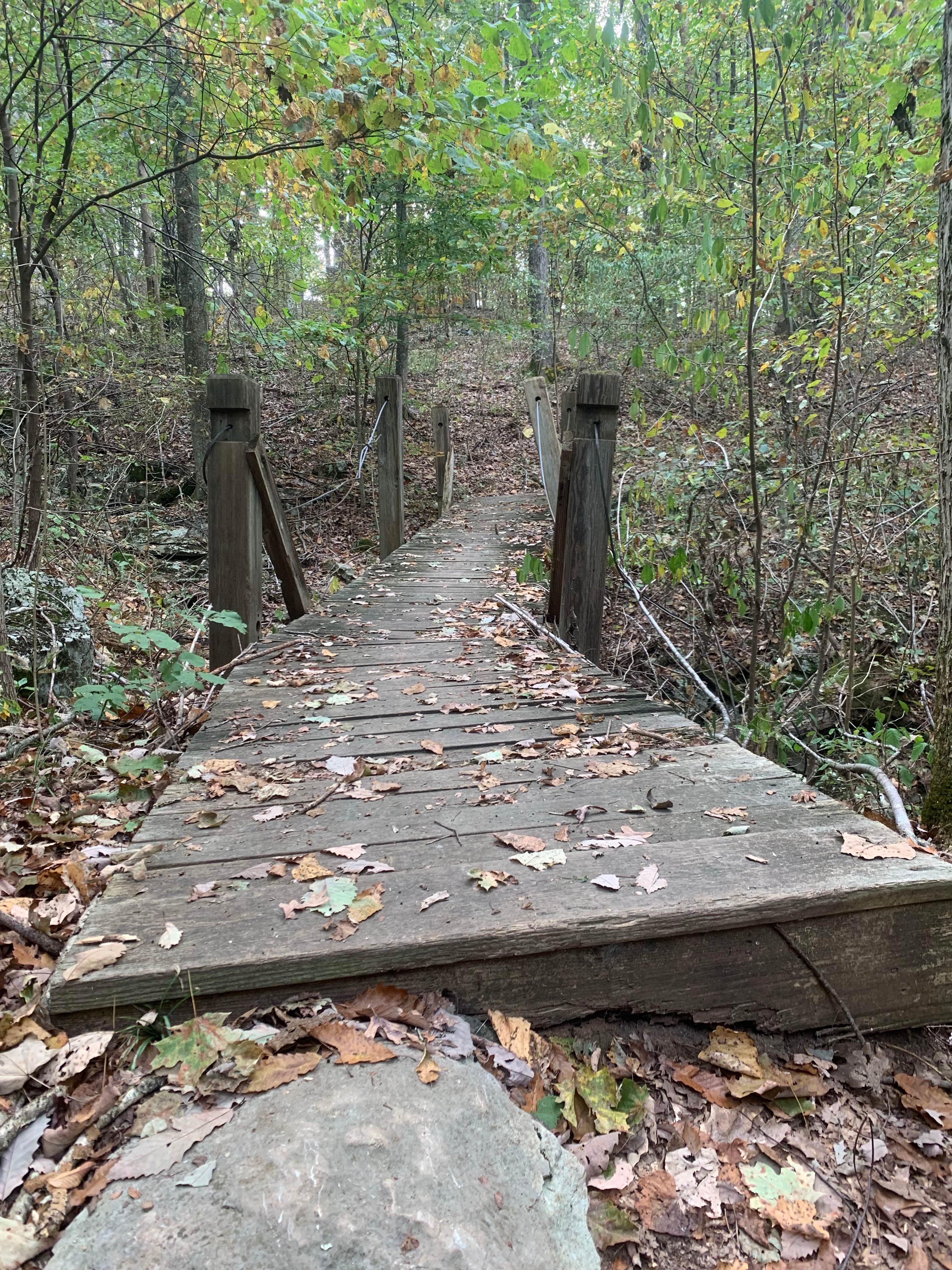 Camper submitted image from O'Bannon Woods State Park Campground - 2