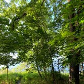 Review photo of Cecil M Harden Lake Raccoon State Recreation Area by Stacey S., October 8, 2019