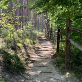 Review photo of Taylor Ridge Campground — Brown County State Park by Stacey S., October 8, 2019