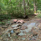 Review photo of Taylor Ridge Campground — Brown County State Park by Stacey S., October 8, 2019