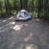 Review photo of Dunewood Campground — Indiana Dunes National Park by Adam J., October 8, 2019