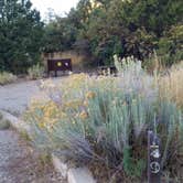 Review photo of Morefield Campground — Mesa Verde National Park by Dexter I., October 8, 2019