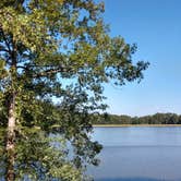 Review photo of Lincoln Parish Park by Onara G., October 8, 2019