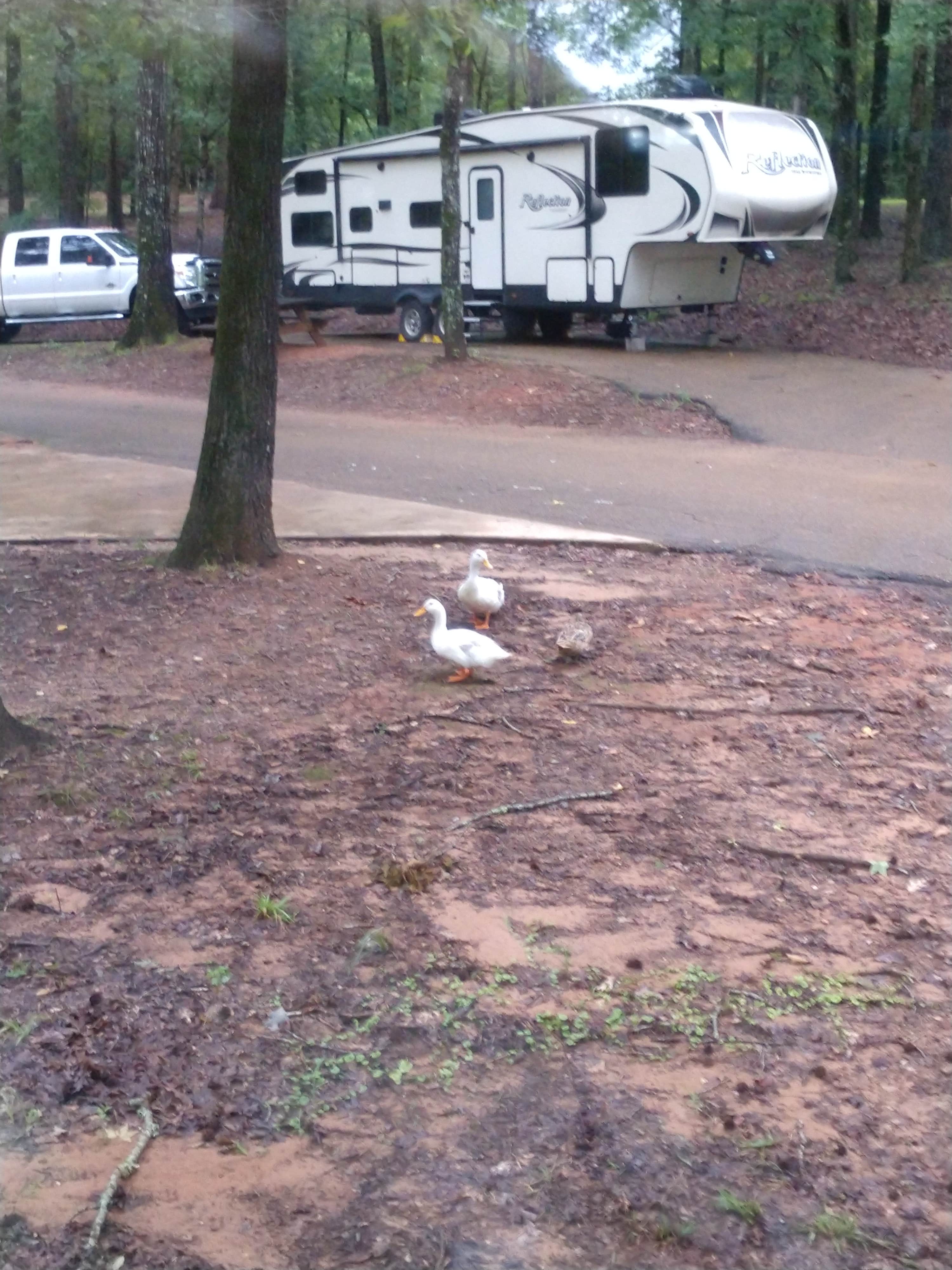Onara G.'s photo of rv camping at Lincoln Parish Park near Chatham, LA