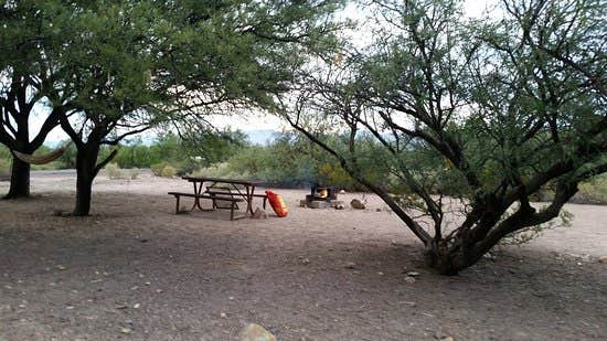 Camper submitted image from Cottonwood Campground — Roper Lake State Park - 4