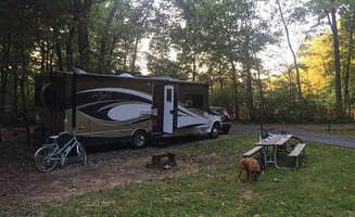 J K.'s photo of camping with pets at Gifford Pinchot State Park Campground near Felton, PA