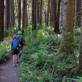 Review photo of Gifford Pinchot State Park Campground by J K., October 9, 2019