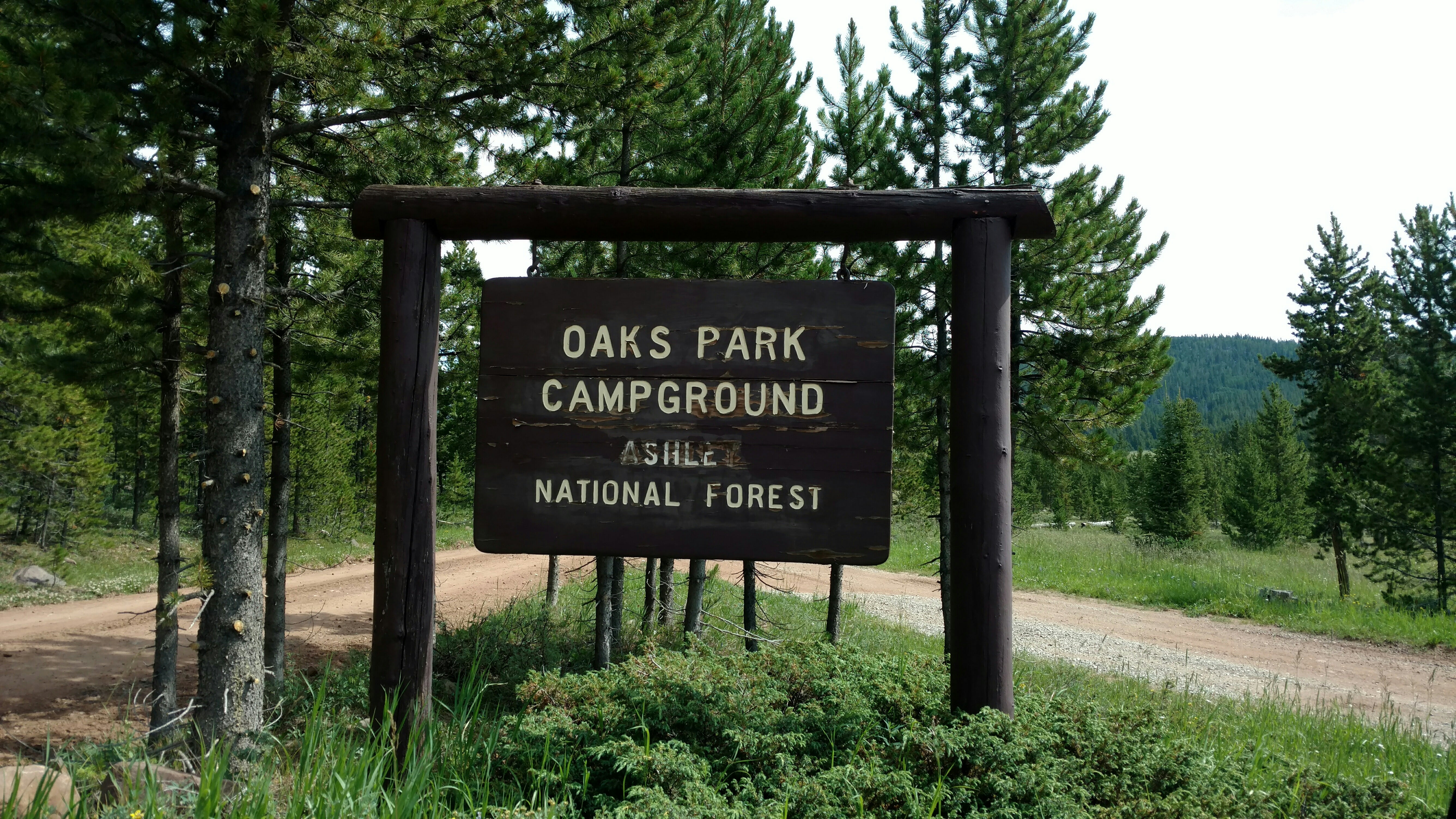 Camper submitted image from Oaks Park Campground - Ashley National Forest - 1
