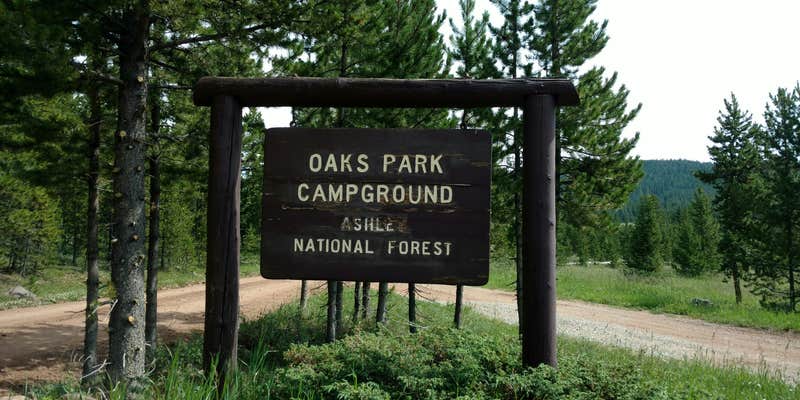 Camper submitted image from Oaks Park Campground - Ashley National Forest