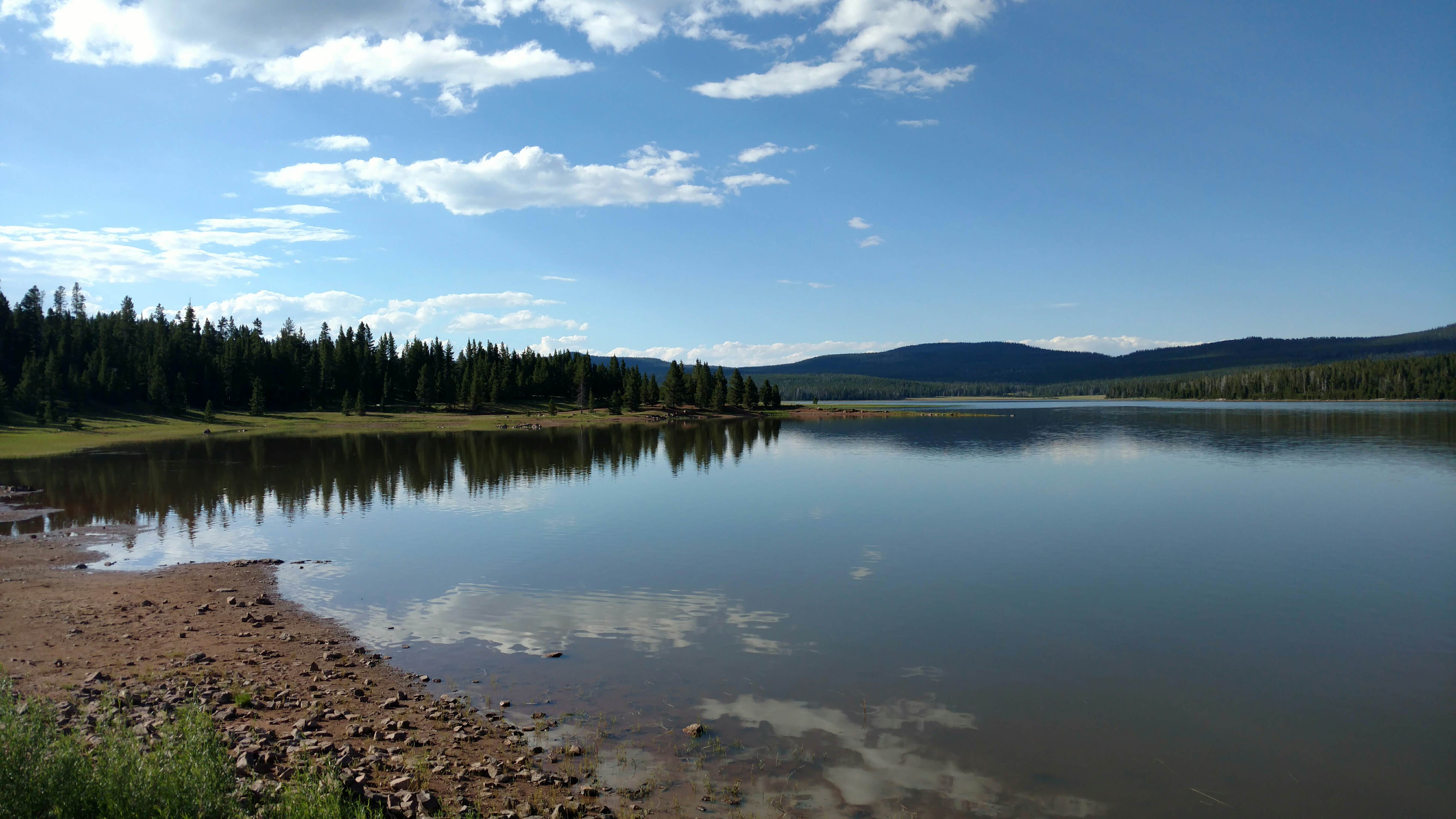 Camper submitted image from Oaks Park Campground - Ashley National Forest - 4