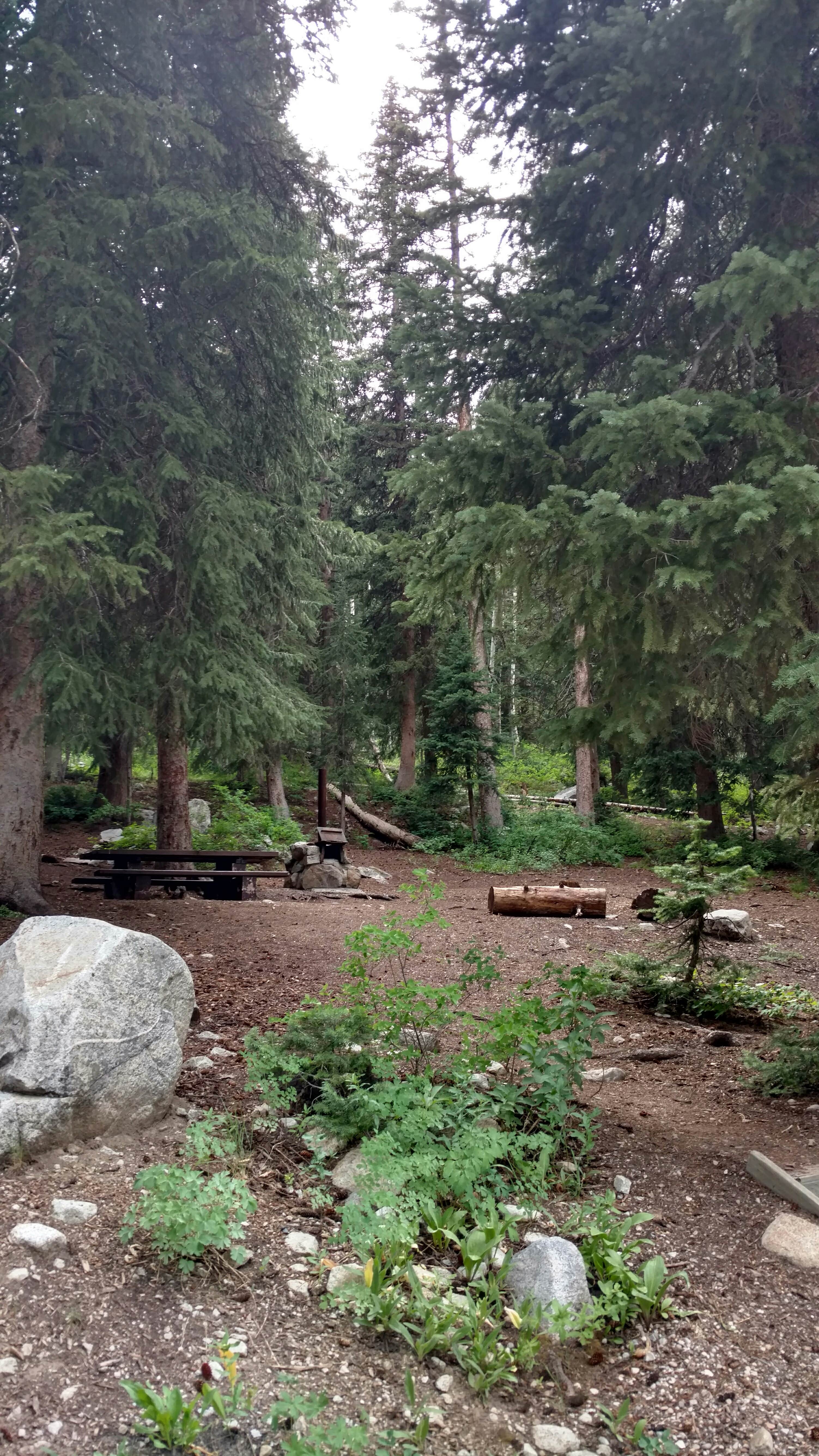 Camper-submitted photo at Redman Campground near Cottonwood Heights, UT