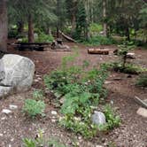 Review photo of Redman Campground by Natalie B., August 15, 2017