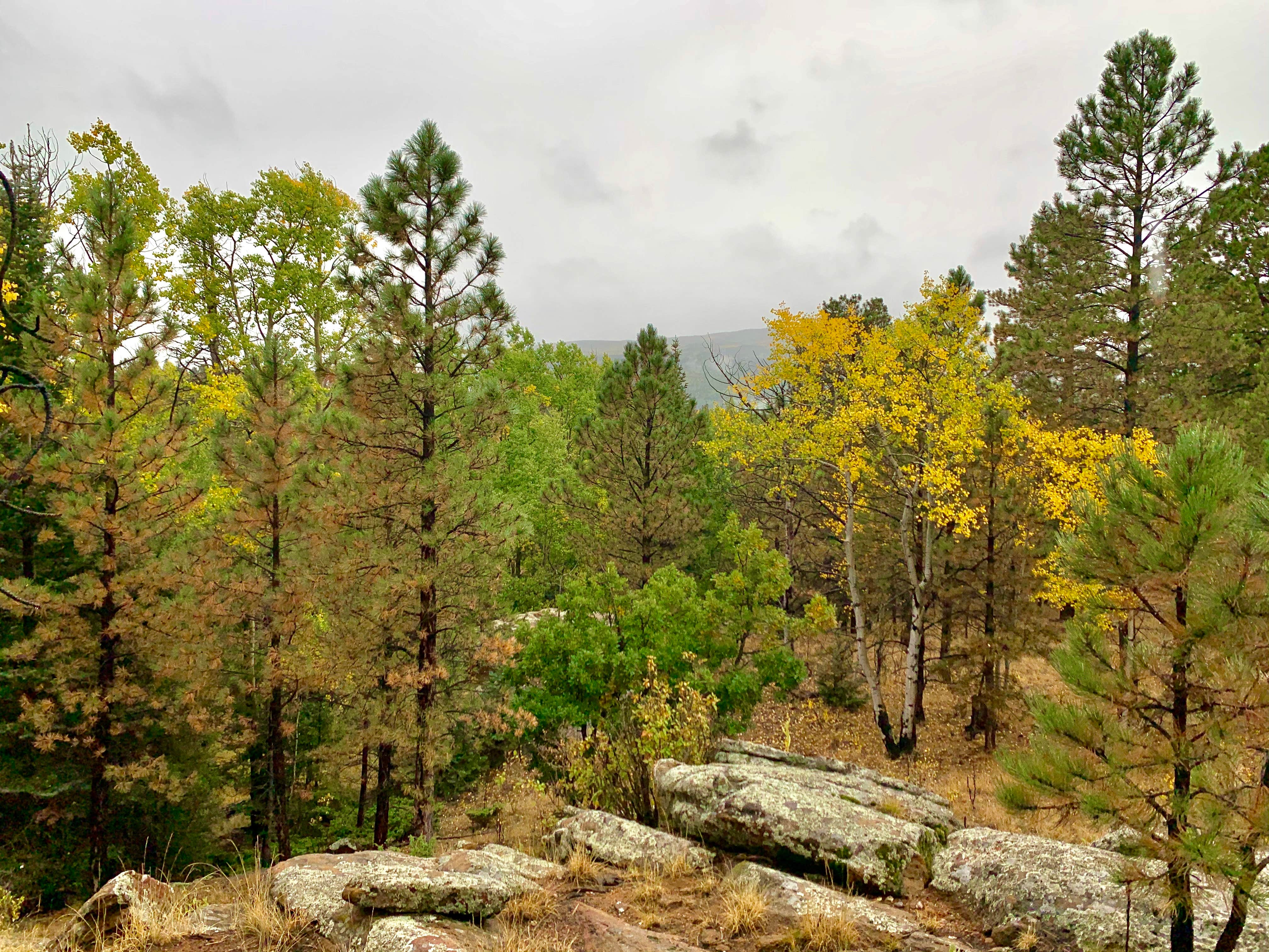 Camper-submitted photo at Enchanted Circle Campground E<< - #1 Campground in NM near Vadito, NM