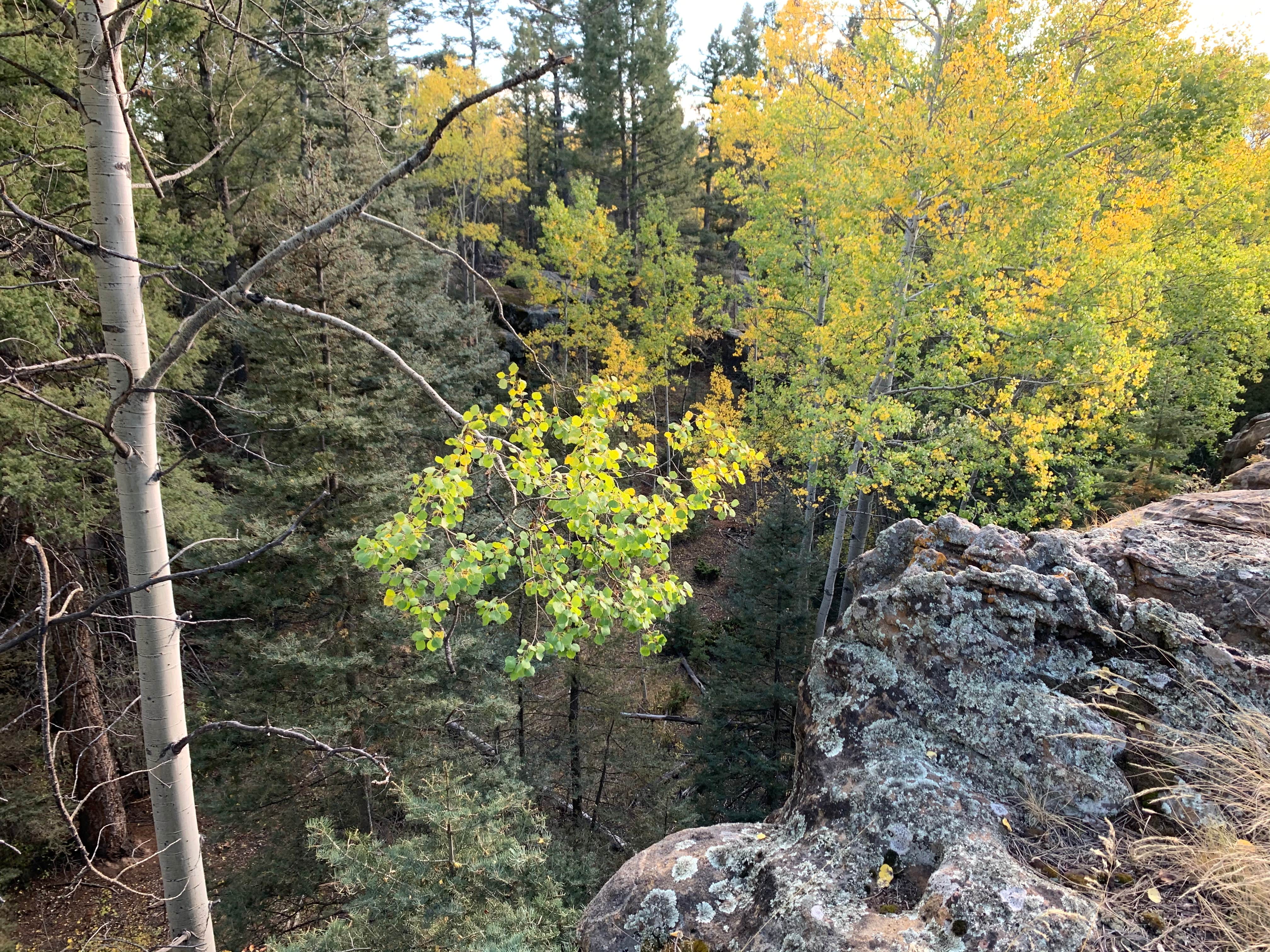 Camper-submitted photo at Enchanted Circle Campground E<< - #1 Campground in NM near Vadito, NM