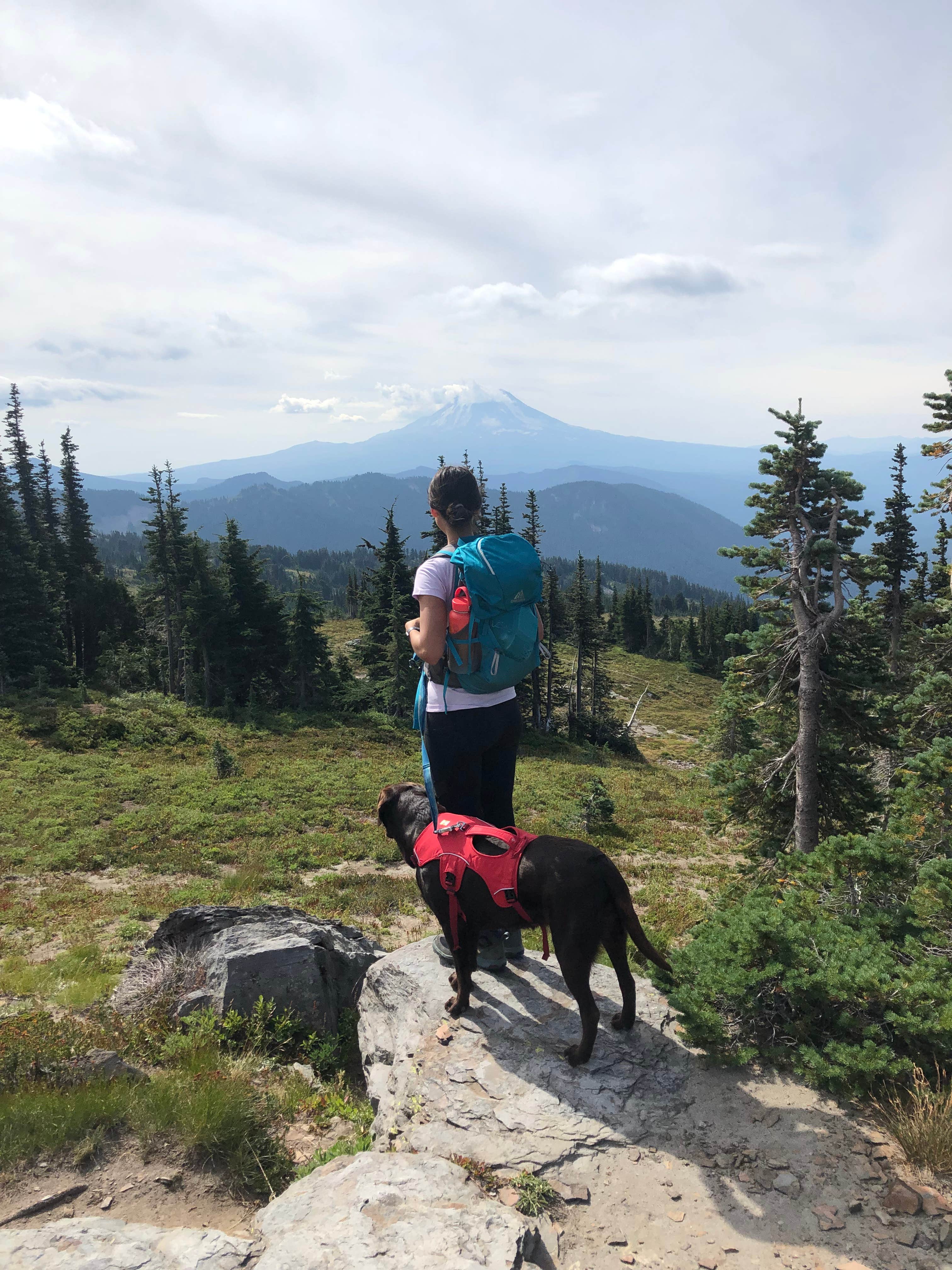 Sasha W.'s photo of camping with pets at Walupt Lake Campground near Gifford Pinchot National Forest