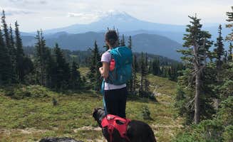 Sasha W.'s photo of camping with pets at Walupt Lake Campground near Gifford Pinchot National Forest