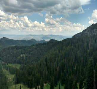 Camper-submitted photo from Pine Creek - Cottonwood Campground — Wasatch Mountain State Park