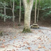 Review photo of Holly River State Park Campground by Brett W., October 9, 2019