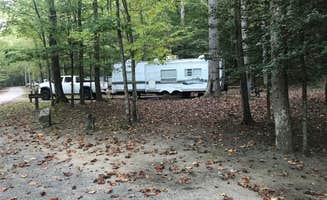 Brett W.'s photo of rv camping at Holly River State Park Campground near Monterville, WV
