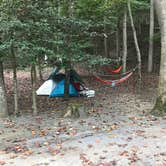 Review photo of Holly River State Park Campground by Brett W., October 9, 2019