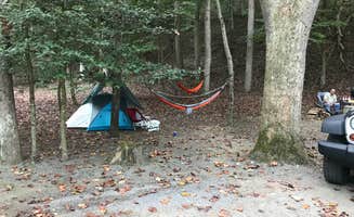 Brett W.'s photo at Holly River State Park Campground near French Creek, WV