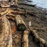 Review photo of Elk Neck State Park Campground by A.R. R., October 10, 2019