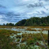 Review photo of Elk Neck State Park Campground by A.R. R., October 10, 2019