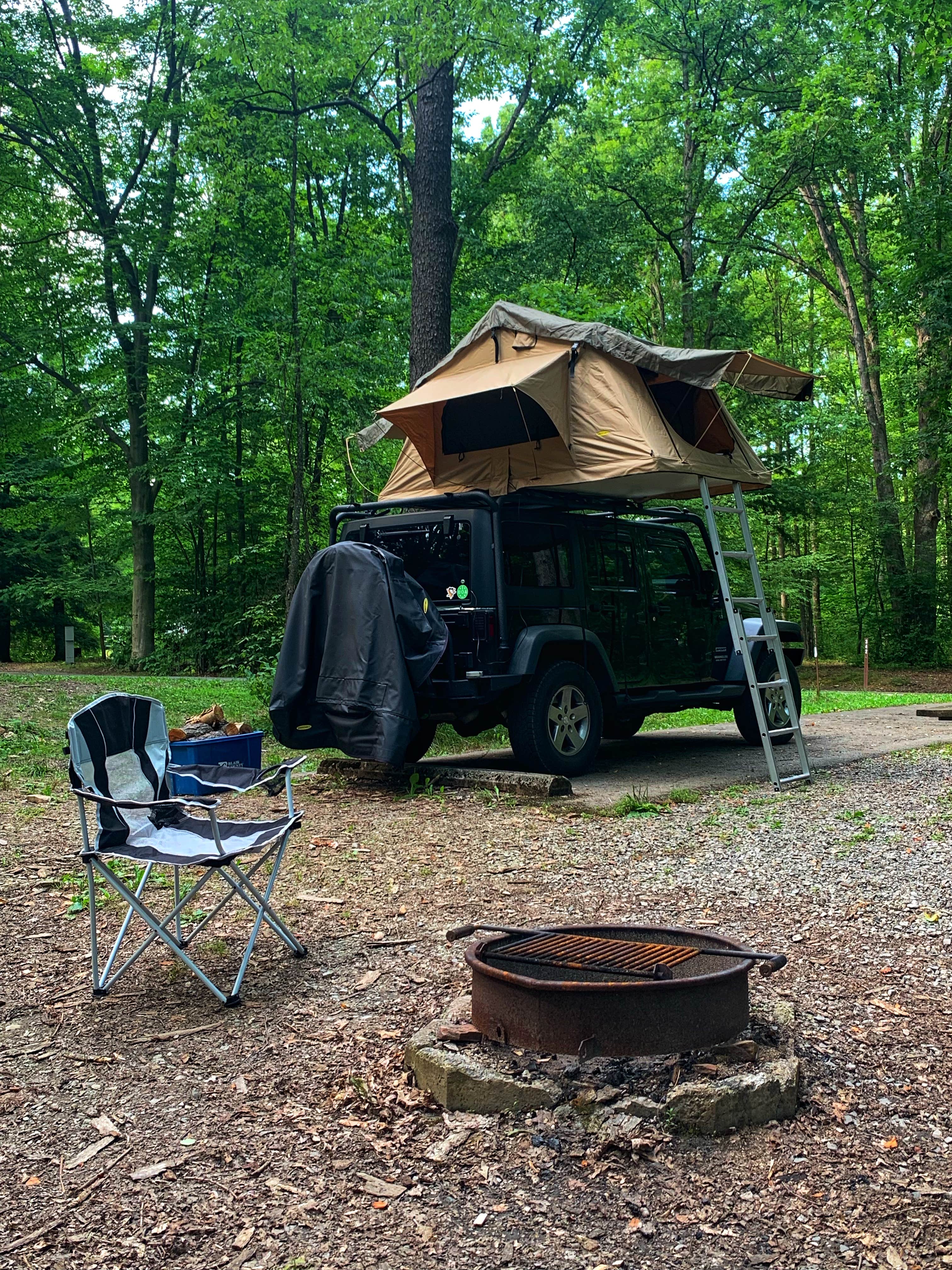 Camper submitted image from Crooked Run Campground — Prince Gallitzin State Park - 4